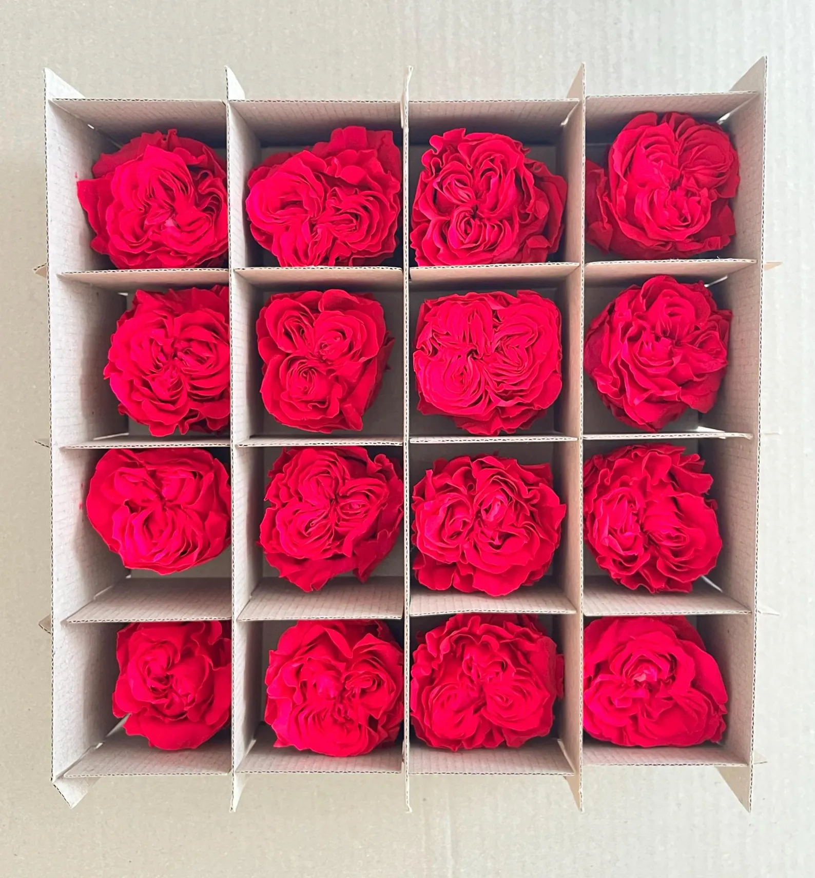 16 Long-Lasting Preserved Roses