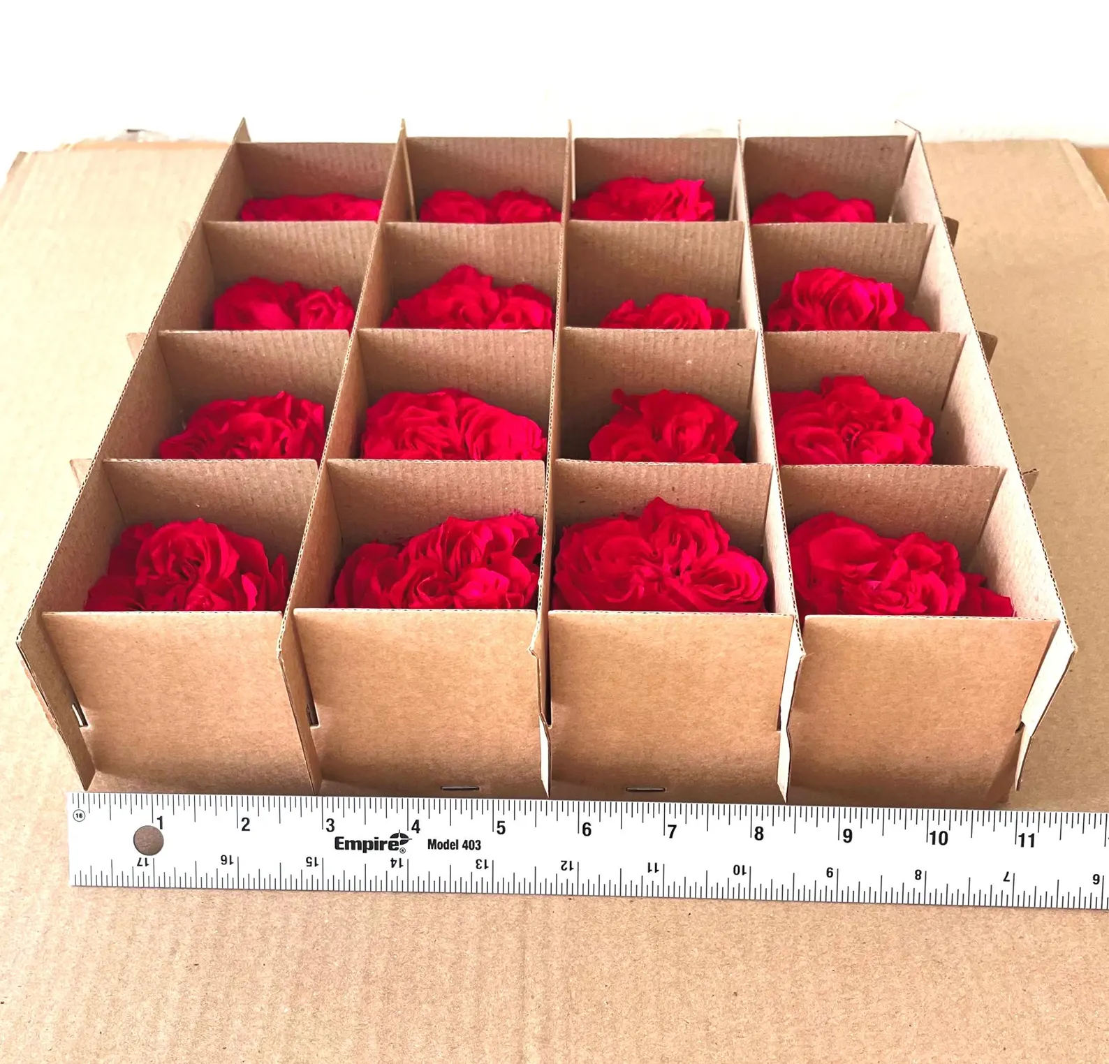 Preserved Pink Roses in Clear Acrylic Box